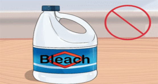 Bleach